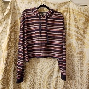 Wilder Fable Crop Hoodie